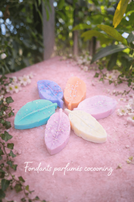Fondants Parfumés Cocooning