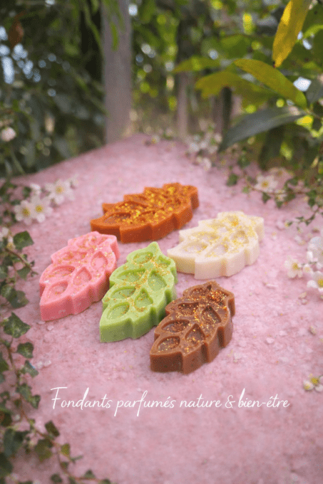 Fondants parfumés Nature & bien être 